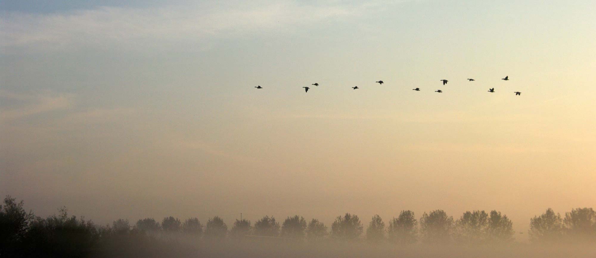 Our Team Ashokan Water Services